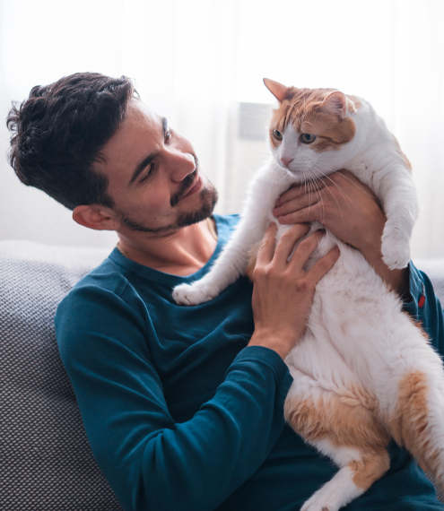 los gatos se deprimen si están solos